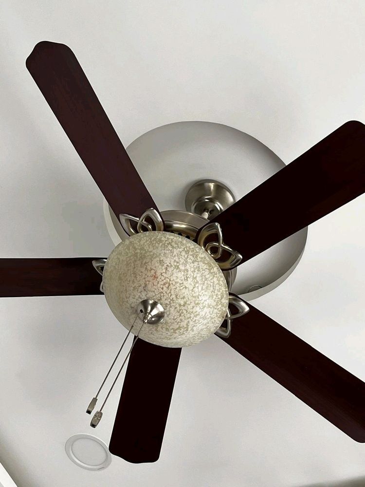 Orient Electric Fan