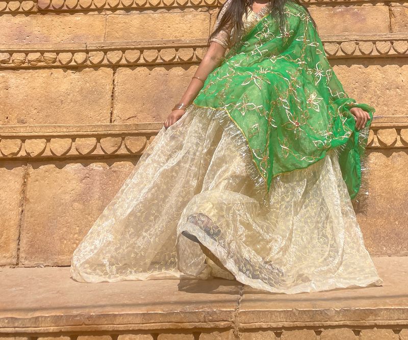 Light Weighted Lehnga Set