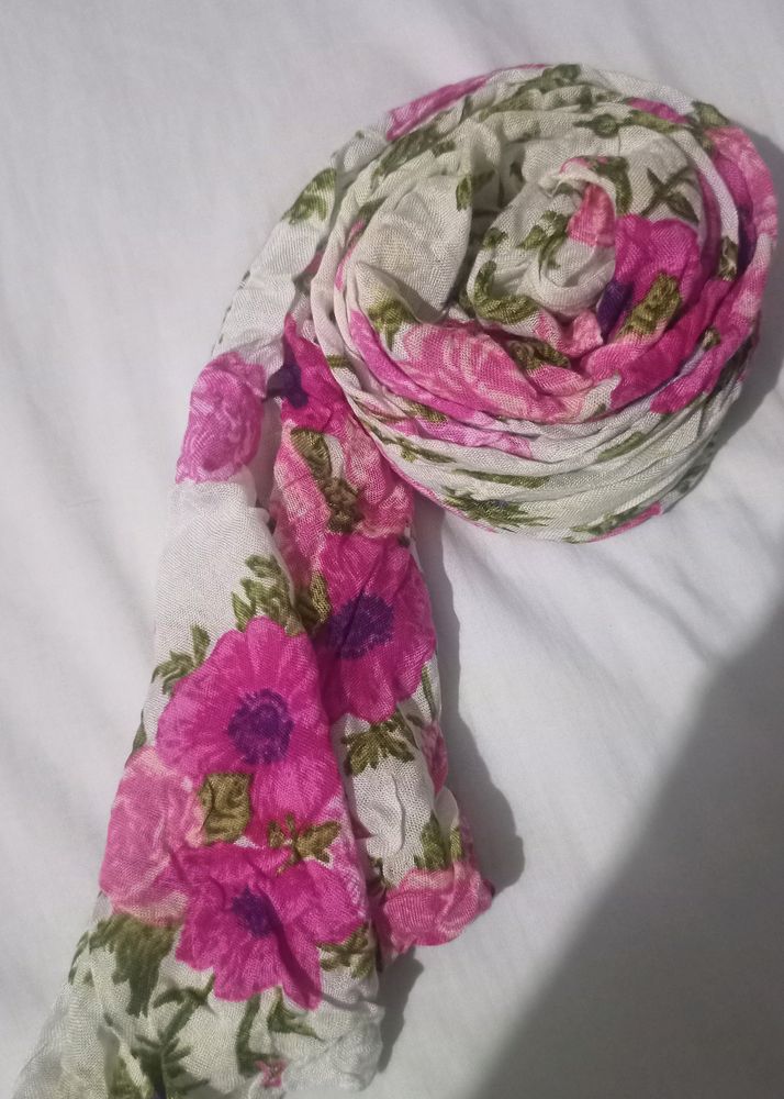 WOMEN STOLE/SCARF