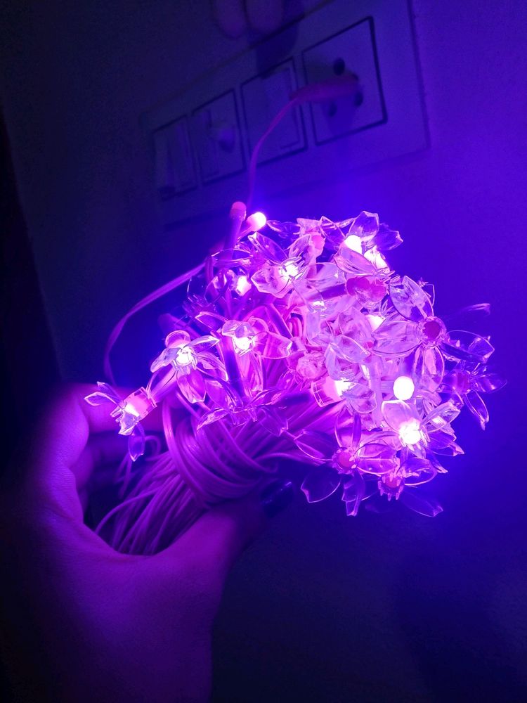 Pink Flower Led Lights 5 Meter