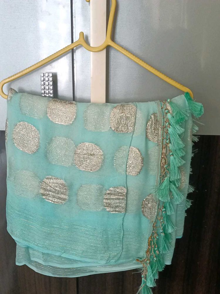 Sea Green Chiffon Saree With Golden Brocade.