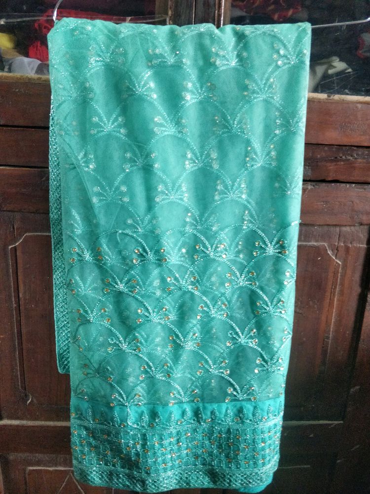 Net saree With Designer Blouse