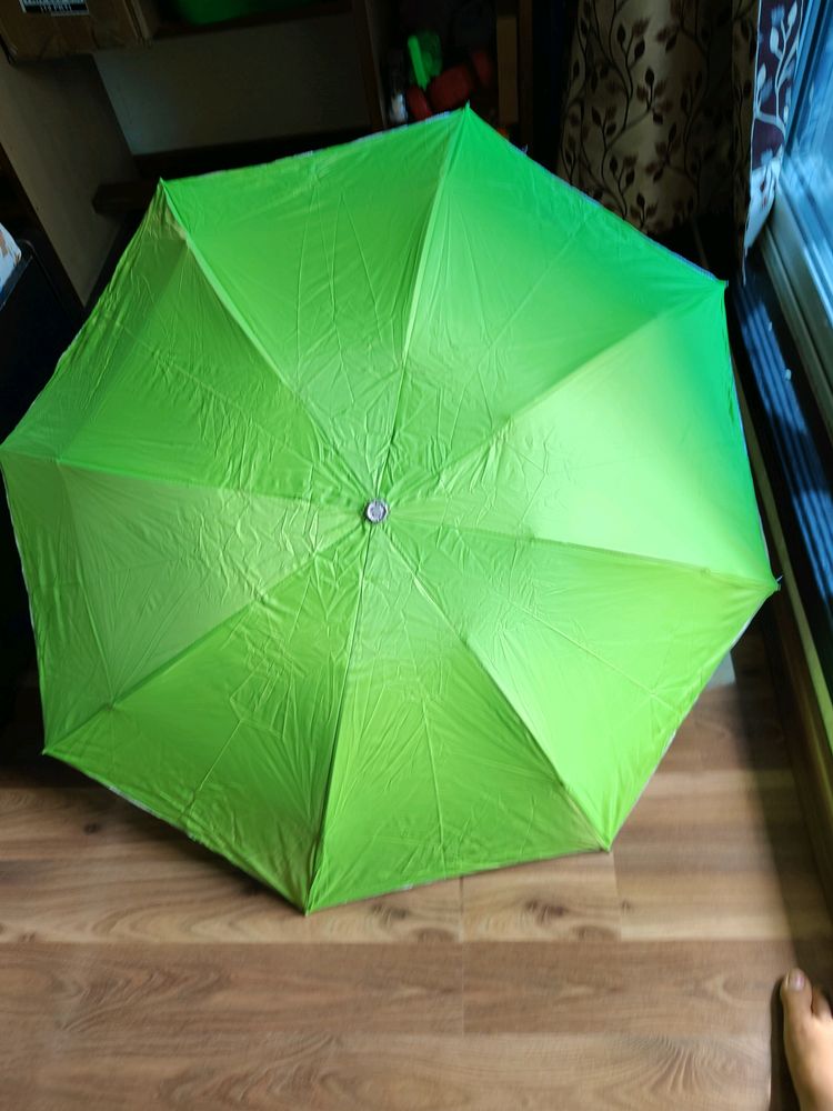 Bottle umbrella