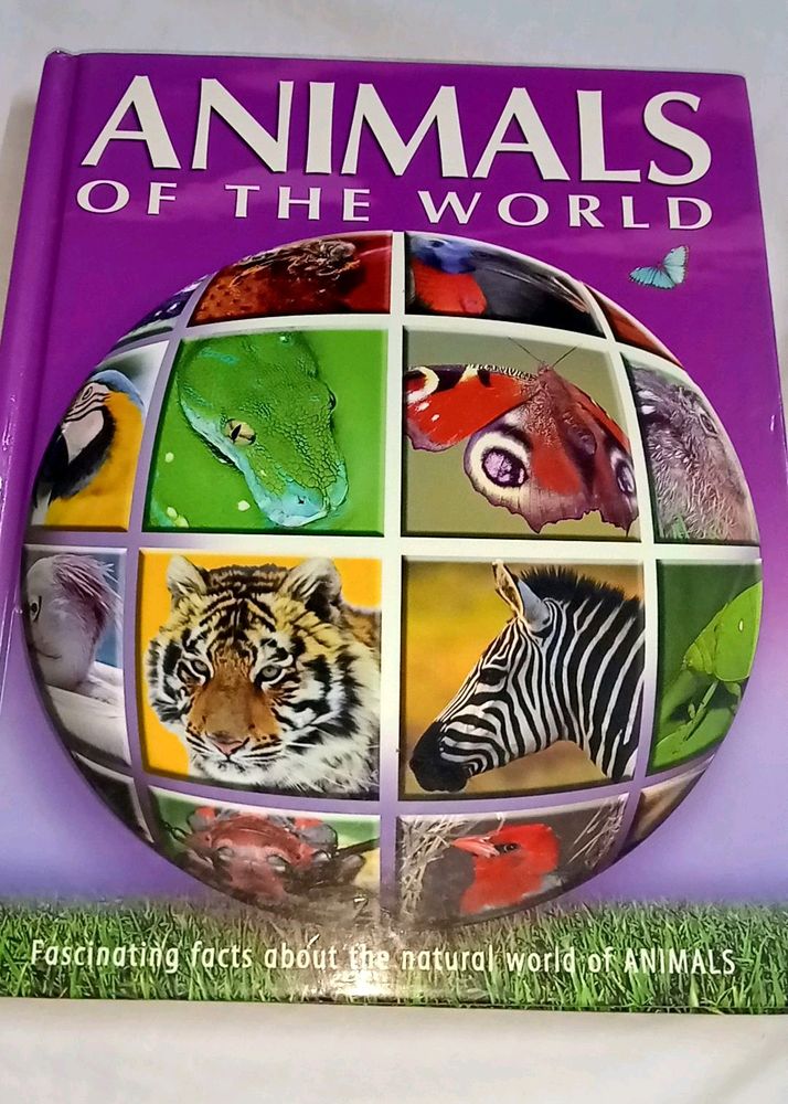 Encyclopaedia Of Animals