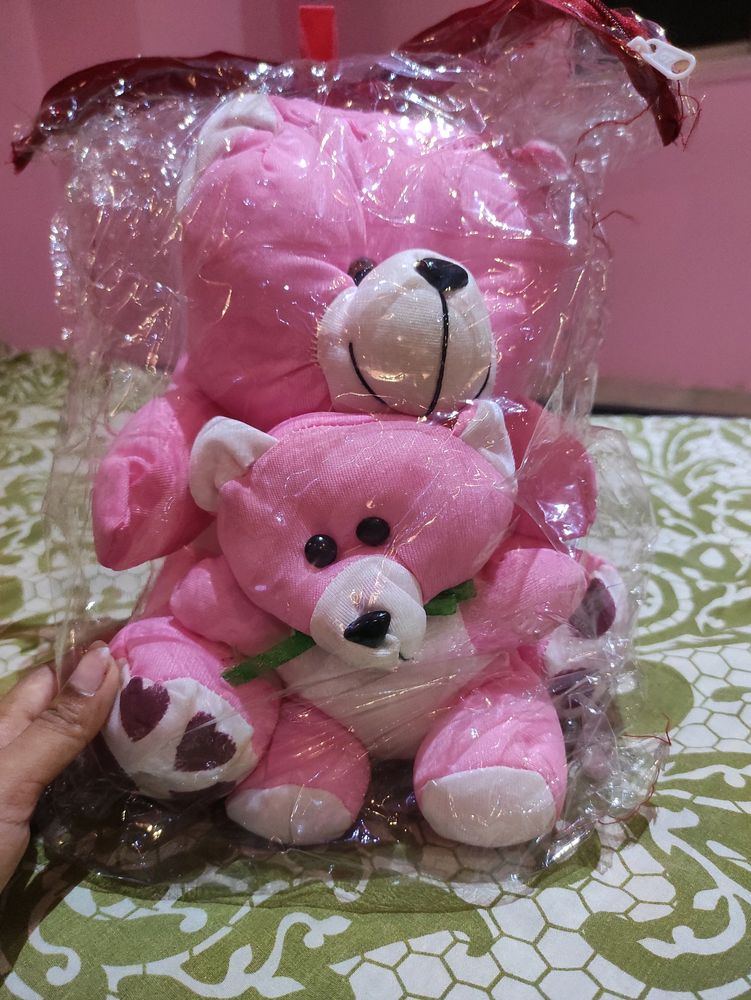 Cute Teddy🧸 (medium size)