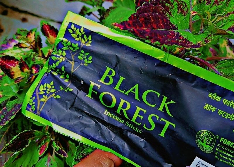 🌲Black Forest Incense Sticks 🌳