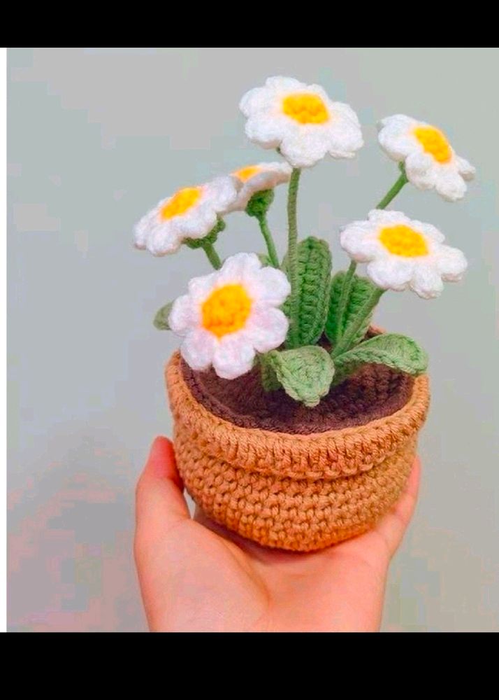 Crochet 6 Flower Pot