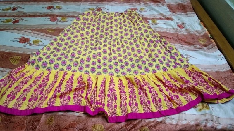 Colorful Flared Skirt