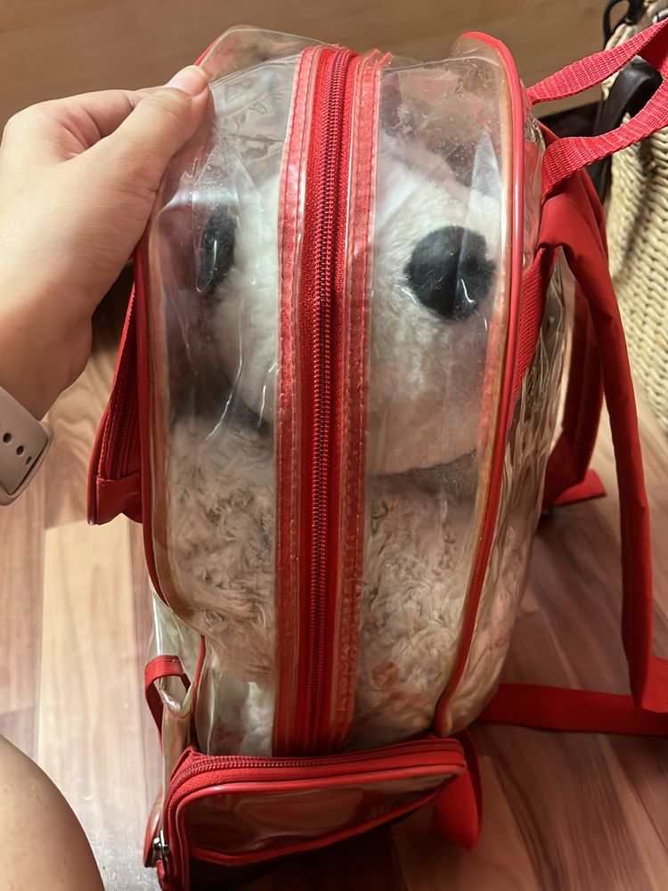 Transparent Backpack