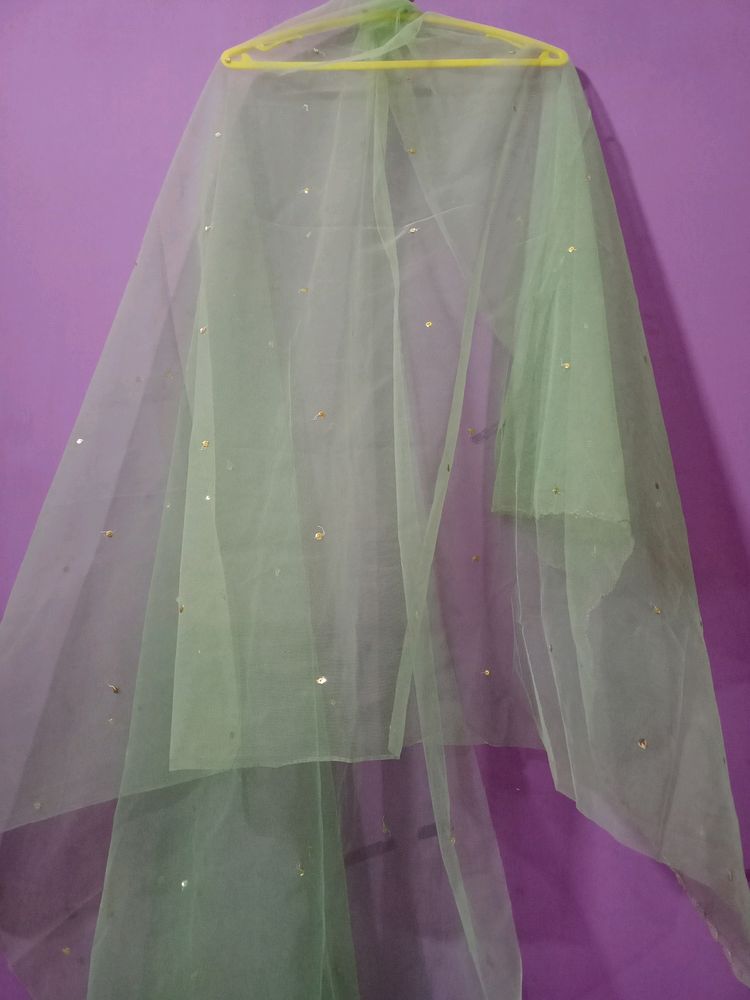 Green Net Dupatta