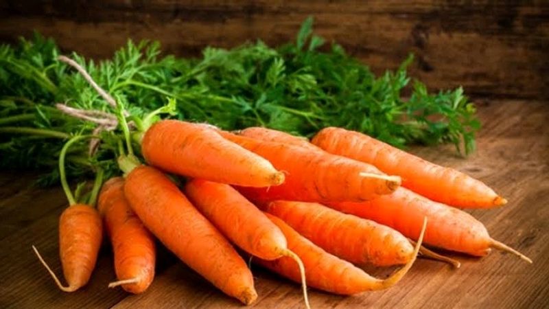 Organic Carrot Seeds Pack Of 1