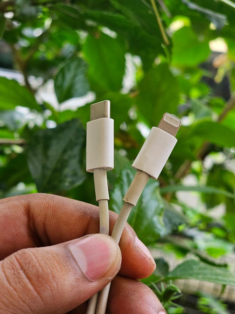 Apple Original Data Cable