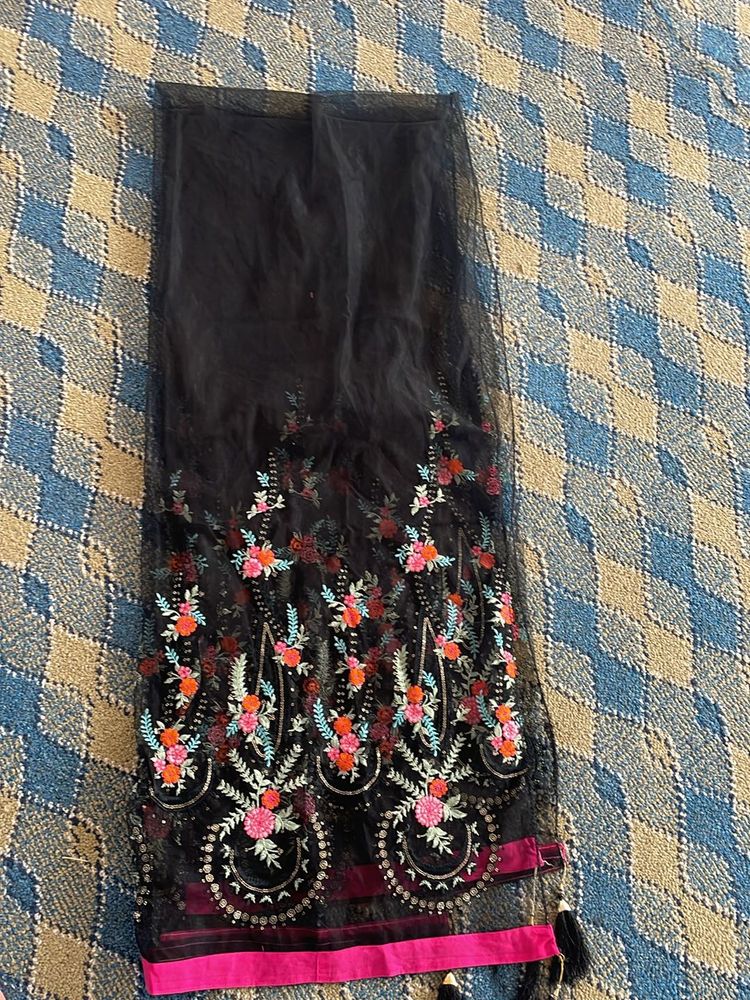 Black Dupatta With Multicolor Embroidery On Border