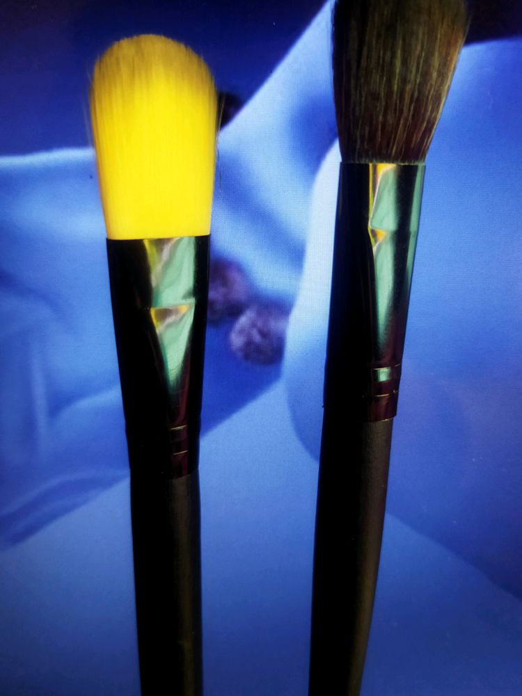 Make Up Brush