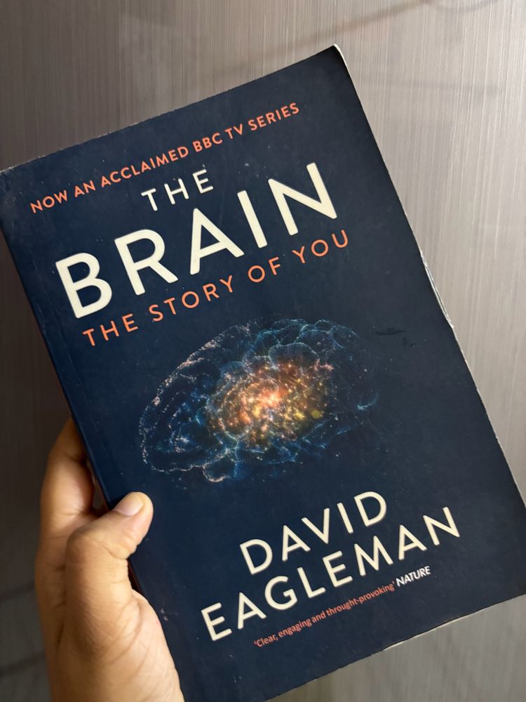 The Brain By David Eagleman