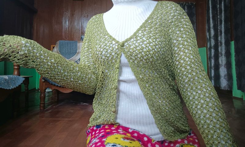 Beautiful Olive Green Sweater Style Top For Women