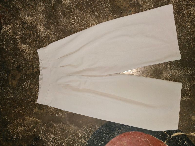 Trouser Pant