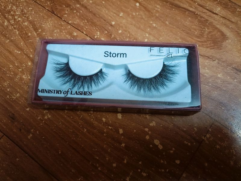 BRAND NEW EYELASHES