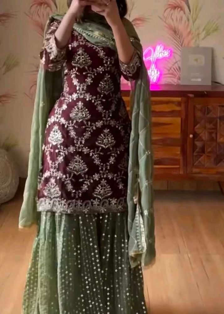 Festive Sharara Suit