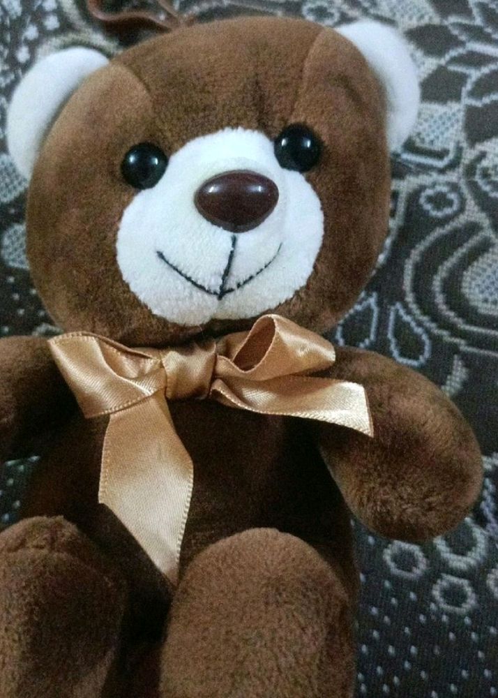 Cute Teddy Soft Toy With Key Holder