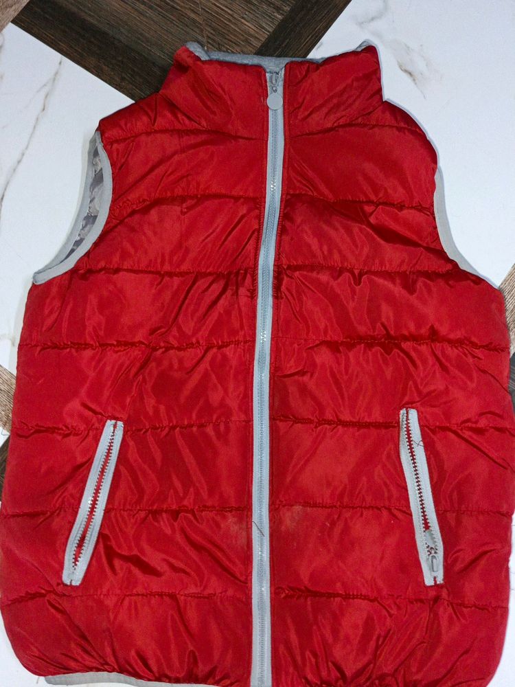 Winter Jacket For women