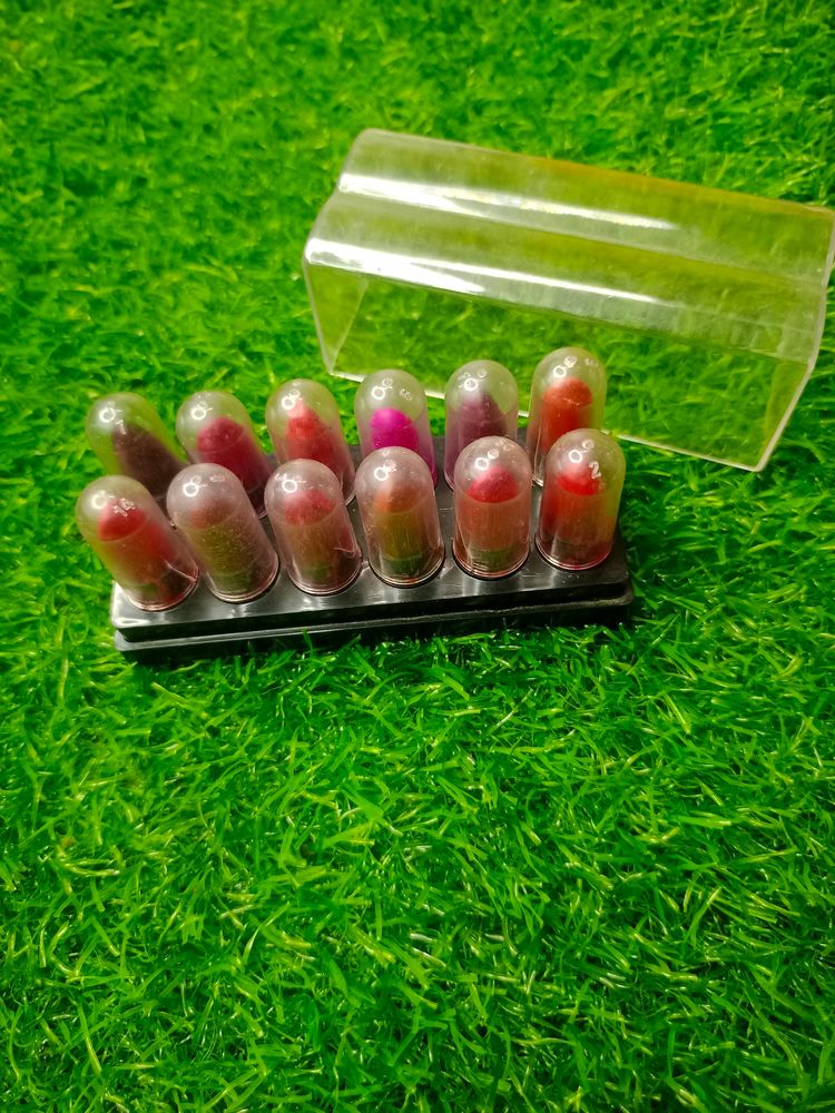 Mini Pocket Lipstick Set Of 12 💄