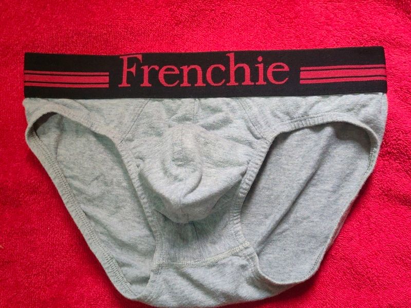 Mens Frenchie Brief Underwear