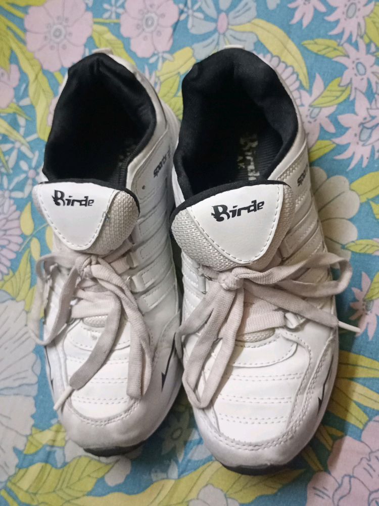 Birde Sport Shoes