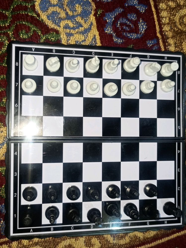 Selling A Magnetic Chess