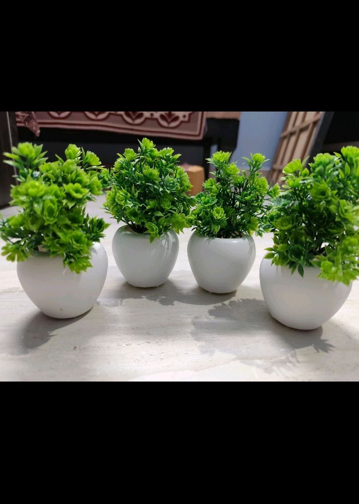 Pack Of 4 Artificial Plants..