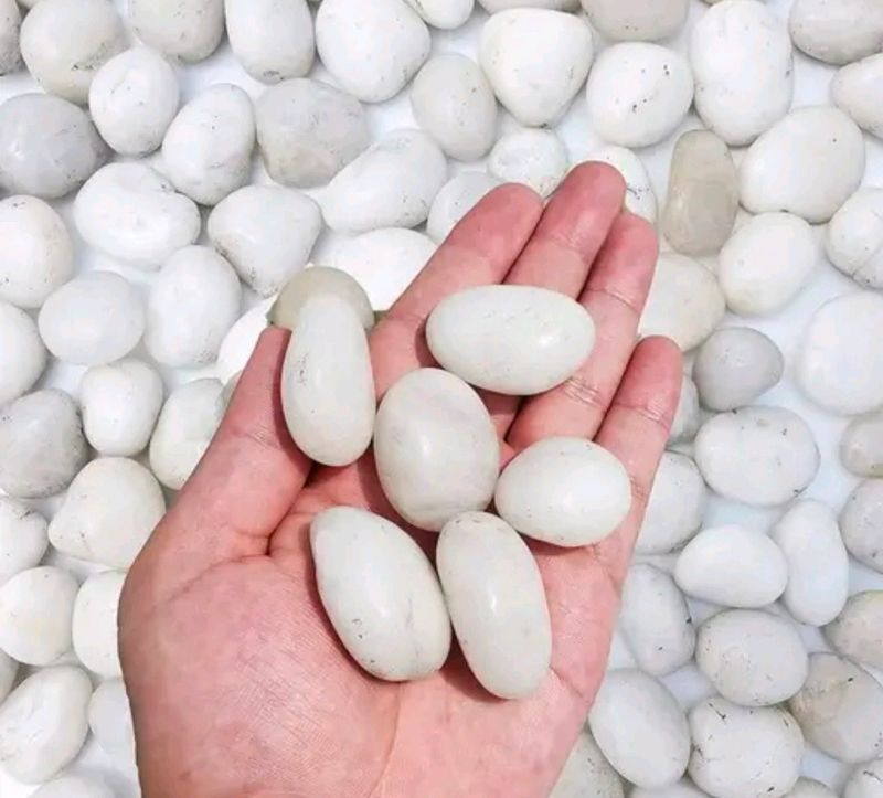 White Pebbles Stone Decorative Aqarium