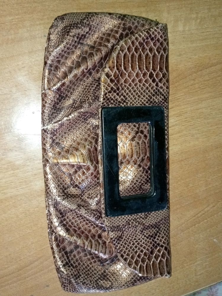 Snake Print Clutch