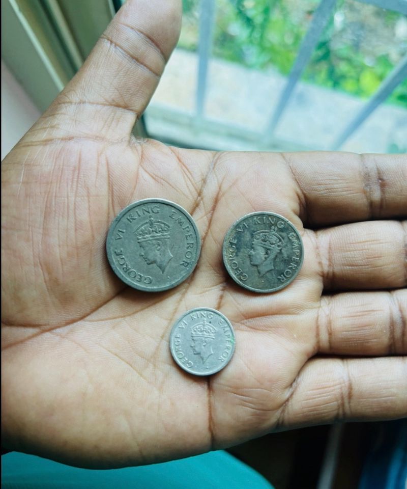 Tiger Rupee Set of 3 coins