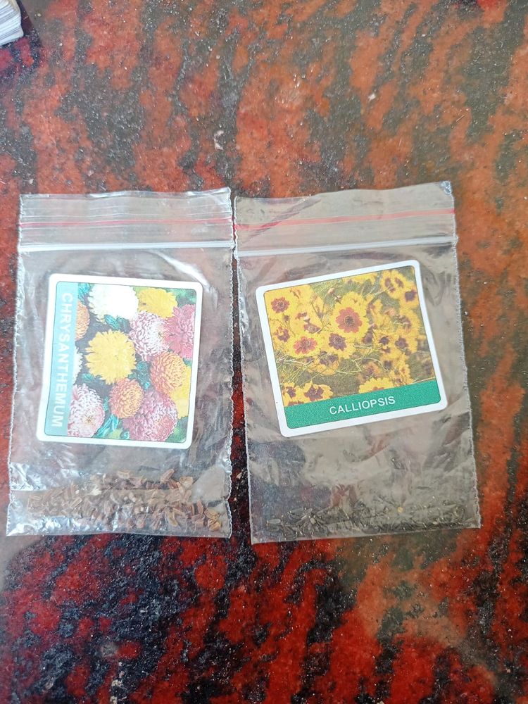 Summer Flowers Seeds Combo Of 2