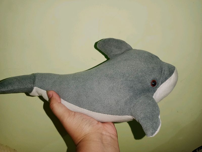 Dolphin