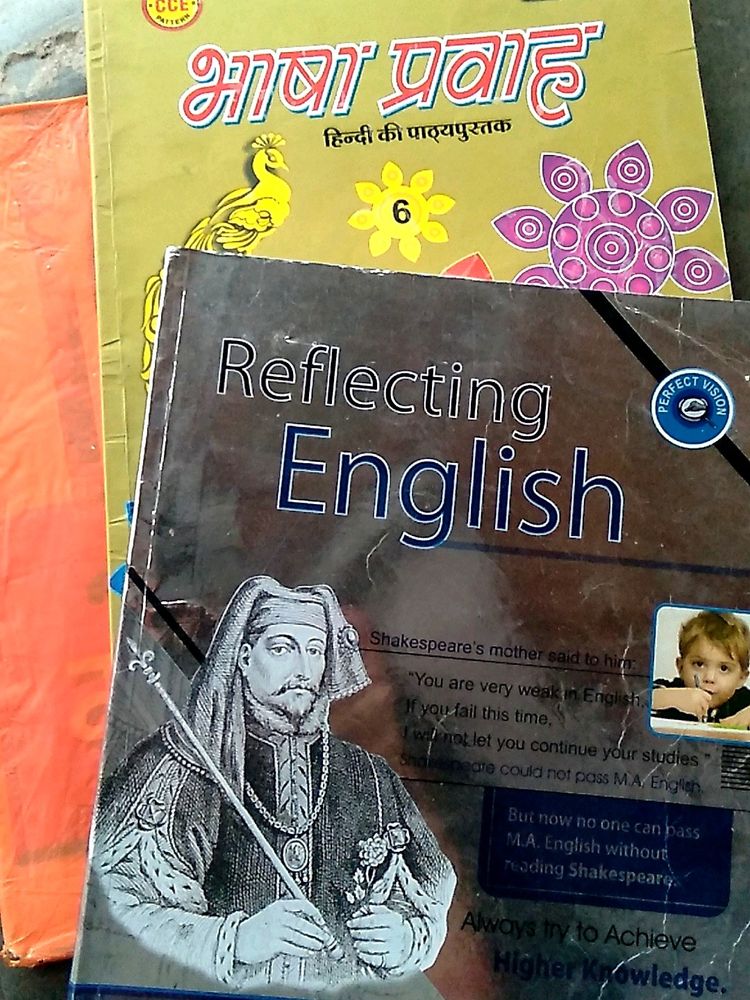 Class 6th: Hindi And English Books