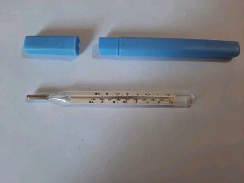 Mercury Thermometer Made in Japan