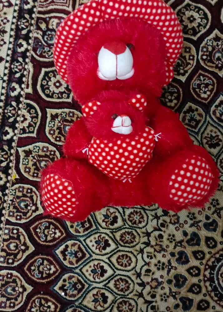 New Teddy Send Offer