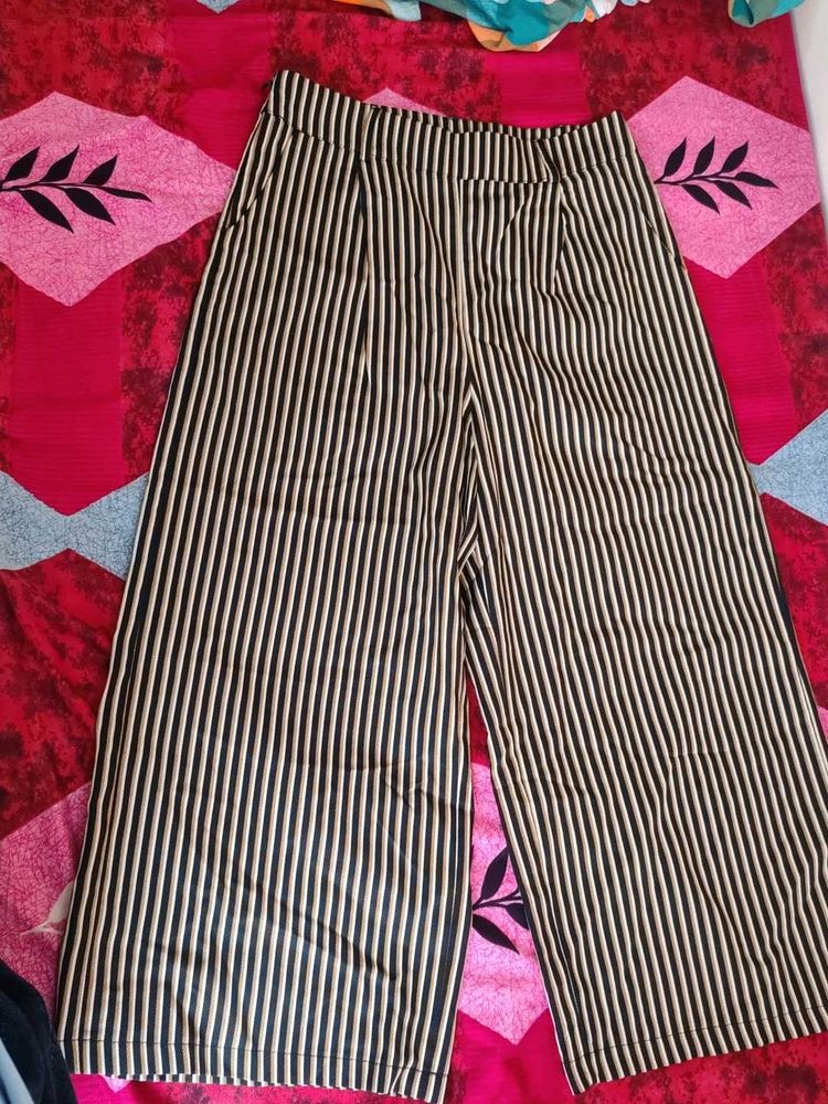 Formal and Casual Striped Trousers