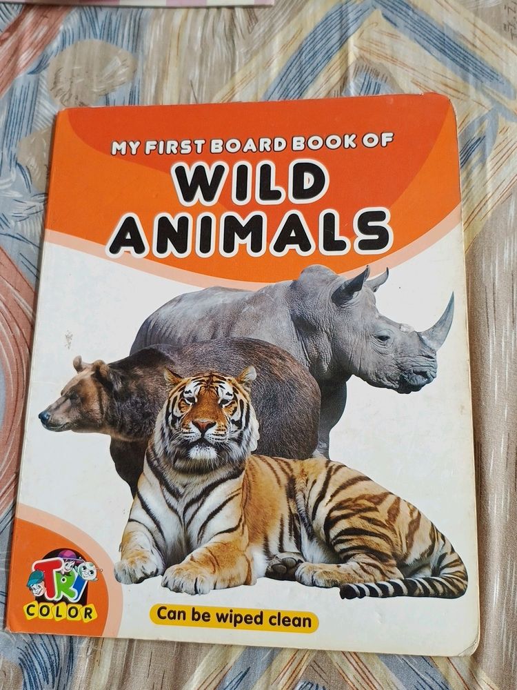 Wild Animals