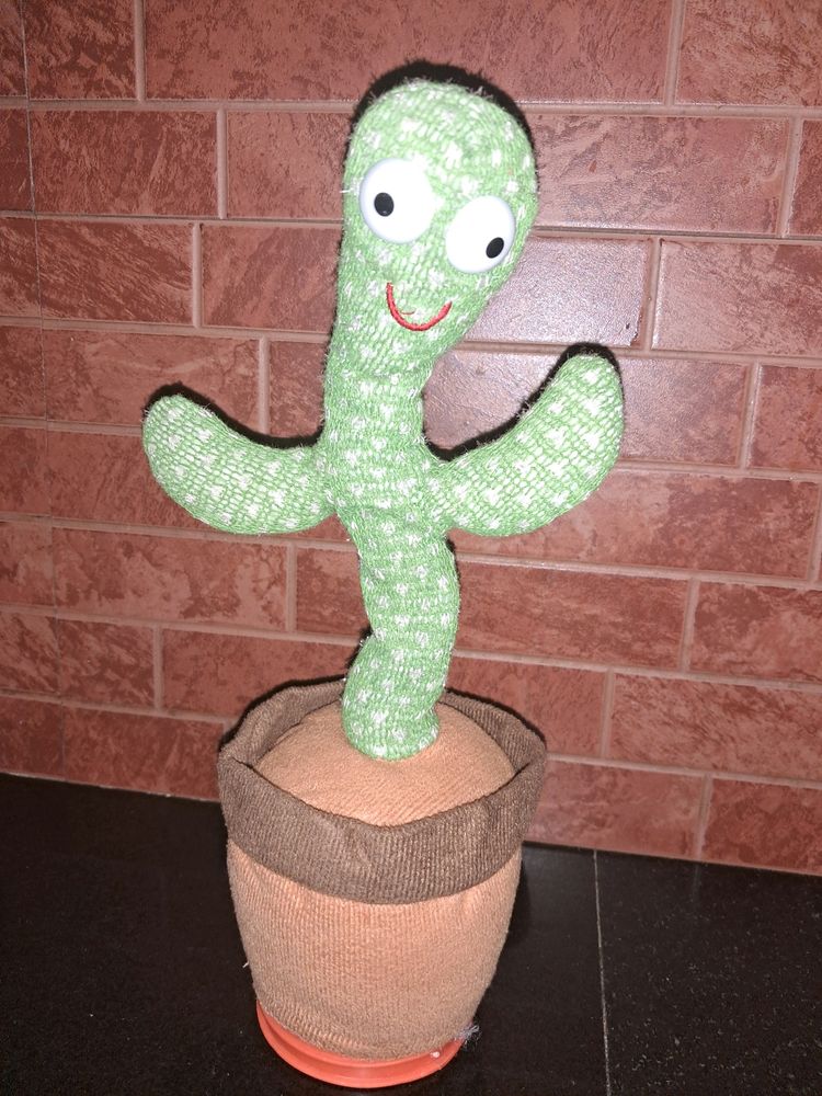 Dancing Cactus And Dog