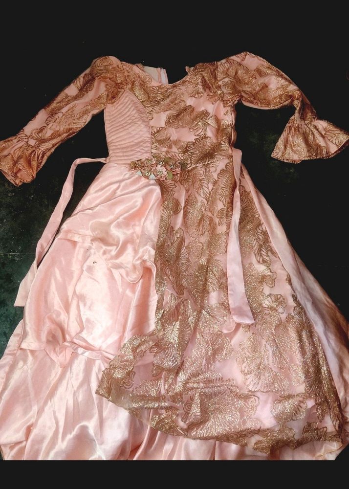 Pink Princess Gown With Work