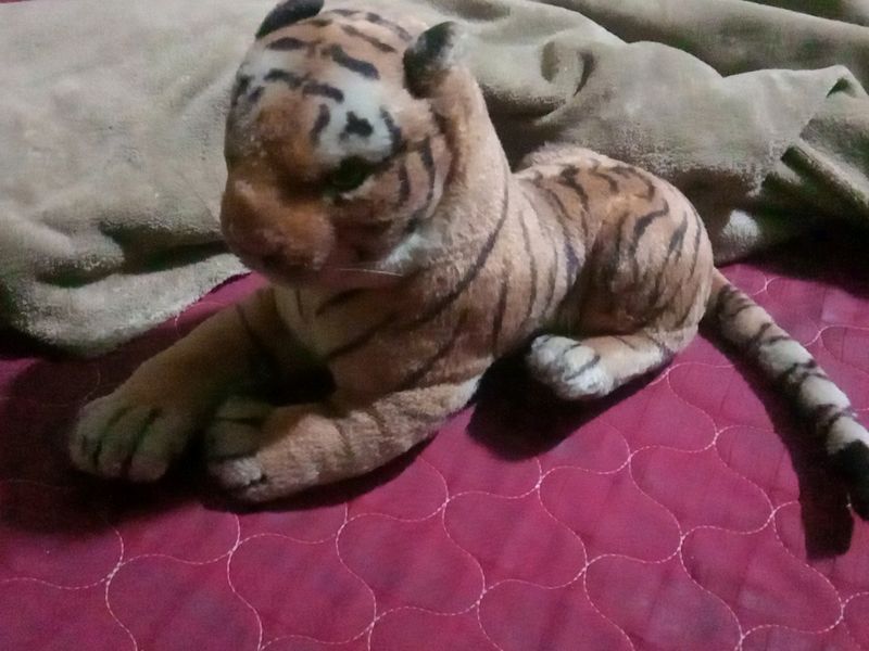 Tiger soft toy