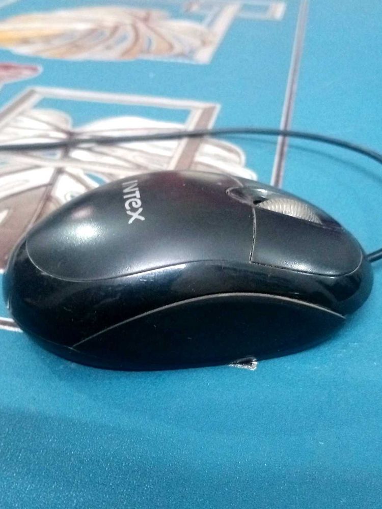 The intex mouse