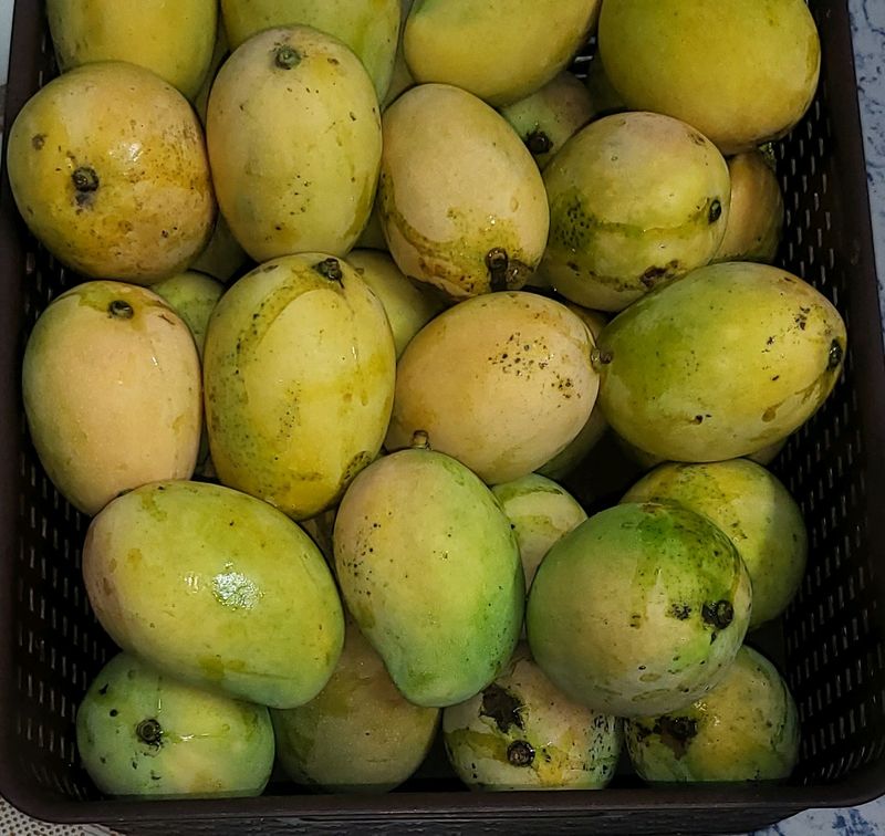 Organic Mangos