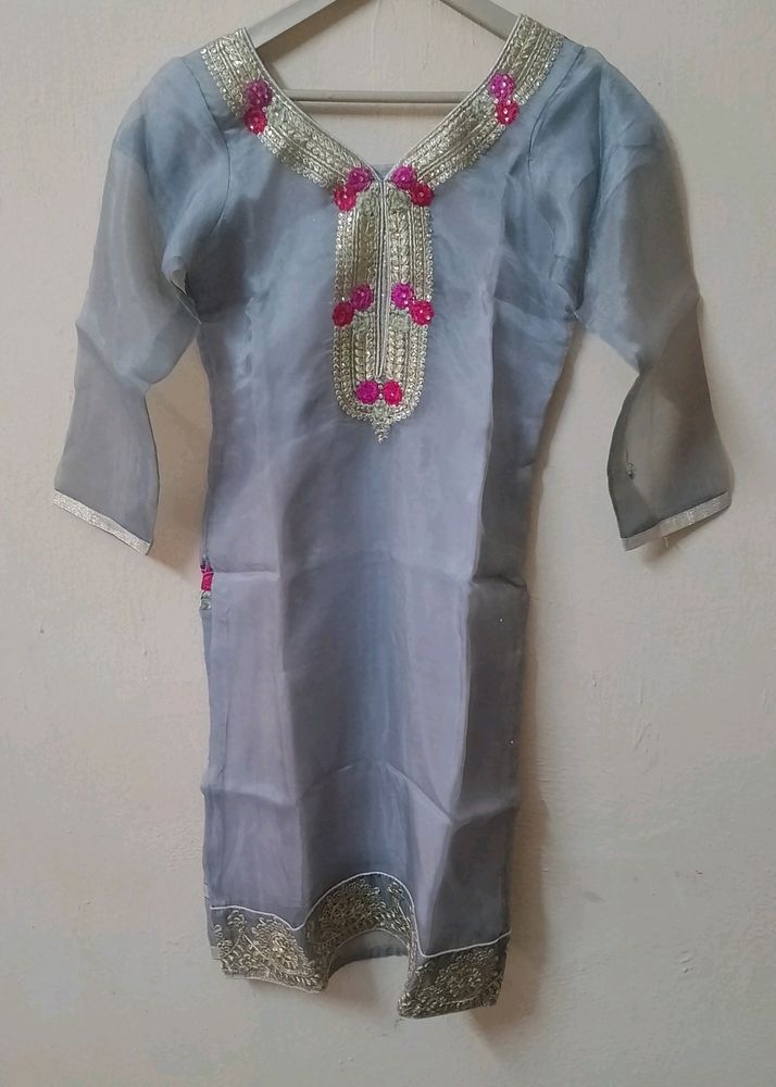 Organza Salwar Suit