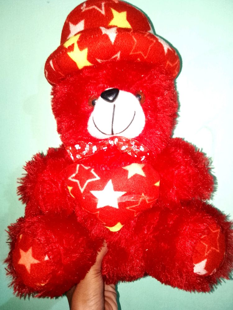 Teddy Bear New