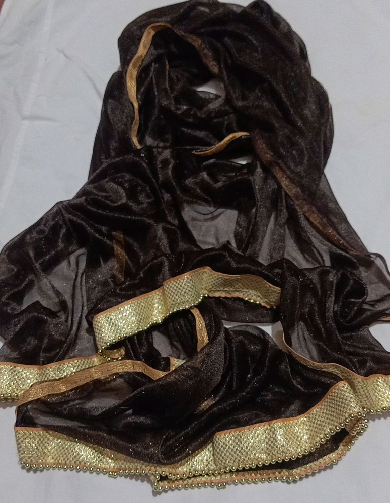 Dark brown Dupatta