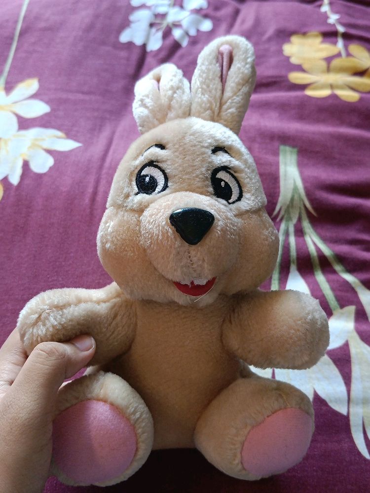 Bunny Softoy