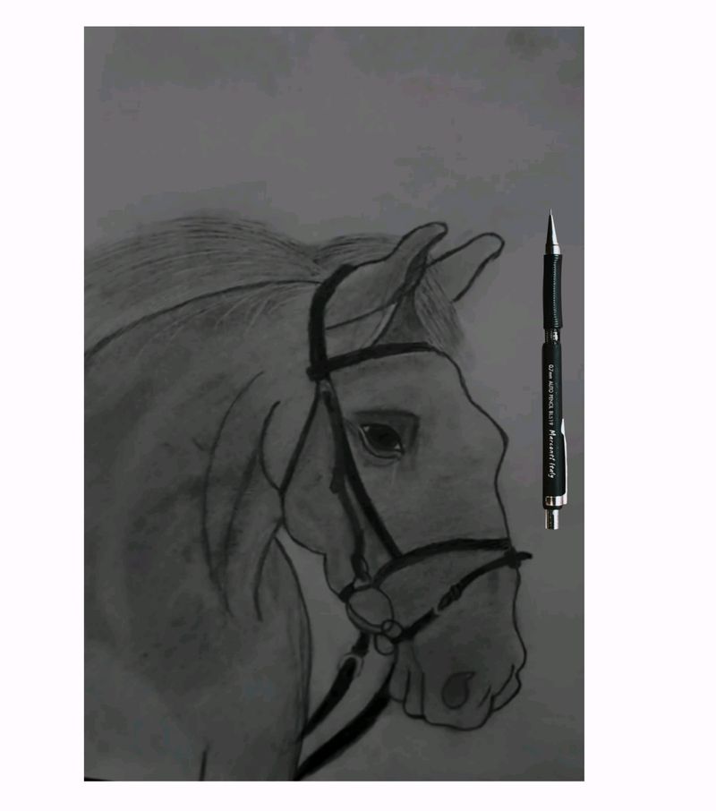 Sketch Of Horse 🐎